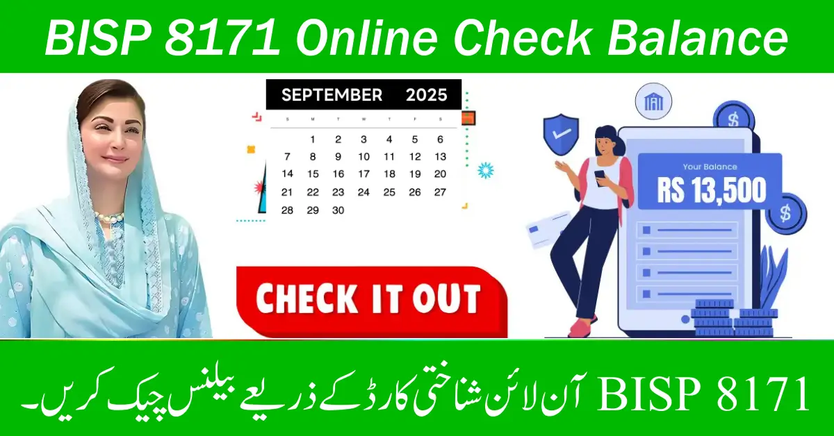BISP 8171 Online Check Balance (3)